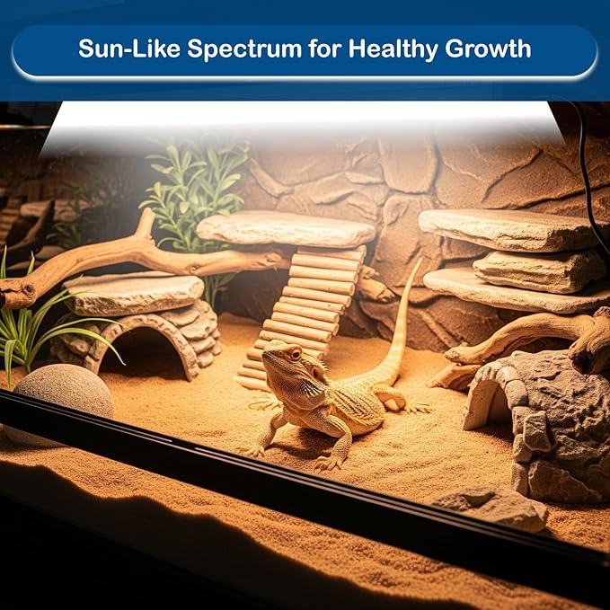 MRREPTILE T5 UVB Reptile Light Bulb – 2-Pack 24W High-Output 10.0 UVB Bulbs for Bearded Dragons, Turtles & Lizards – Liner UVA/UVB Lighting for Basking & Vitamin D3 Synthesis