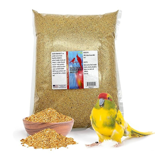 Morning Bird Golden German Millet – Bird Seed & Parakeet Food with Protein, Vitamin B & Fiber – Easy-to-Digest Millet Seed, Natural Food & Daily Nutrition Supplement for All Type of Bird 9 lbs