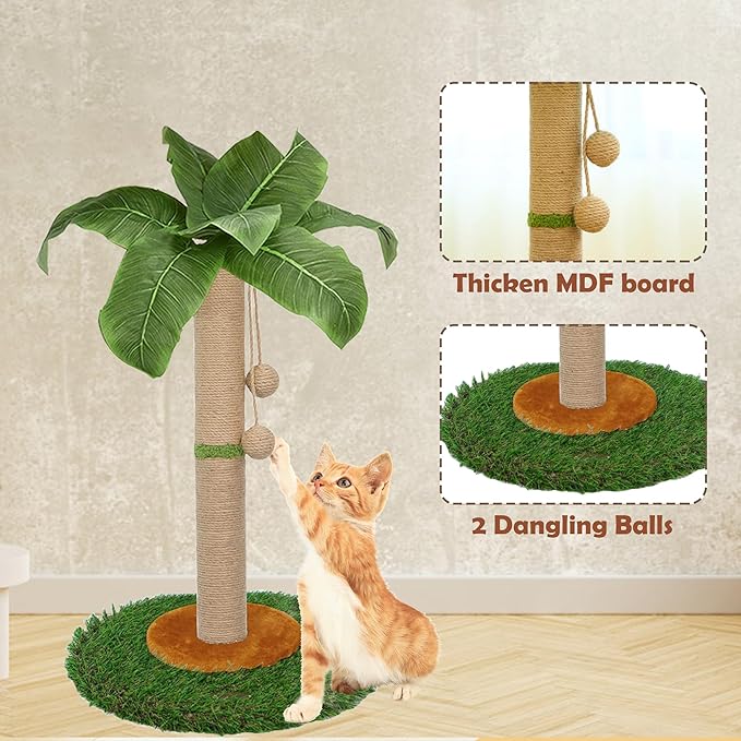 Cat Scratching Post for Indoor Cats and Kitten - 23.6 Inch Tall Cat Scratching Post with Sisal Rope, Palm Tree Scratch Post with Hanging Ball