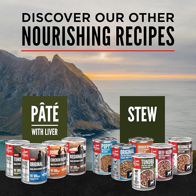 ORIJEN Real Meat Shreds Wet Dog Food Beef Stew Recipe 12.8oz Cans (12 Count)