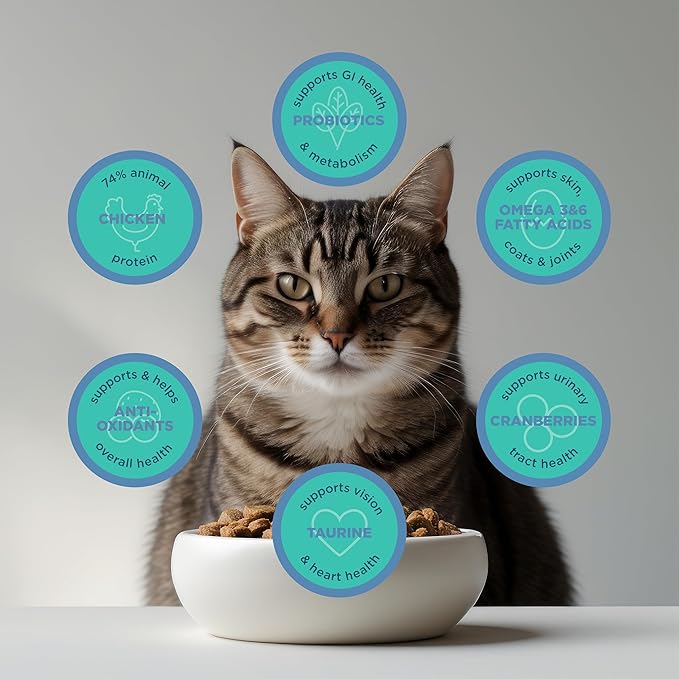 Blackwood Dry Cat Food, Special Diet Formula for Sensitivities, Duck Meal, Salmon Meal & Field Pea Recipe, 4 Pound Bag, High Protein, Slow Cooked, Grain Free