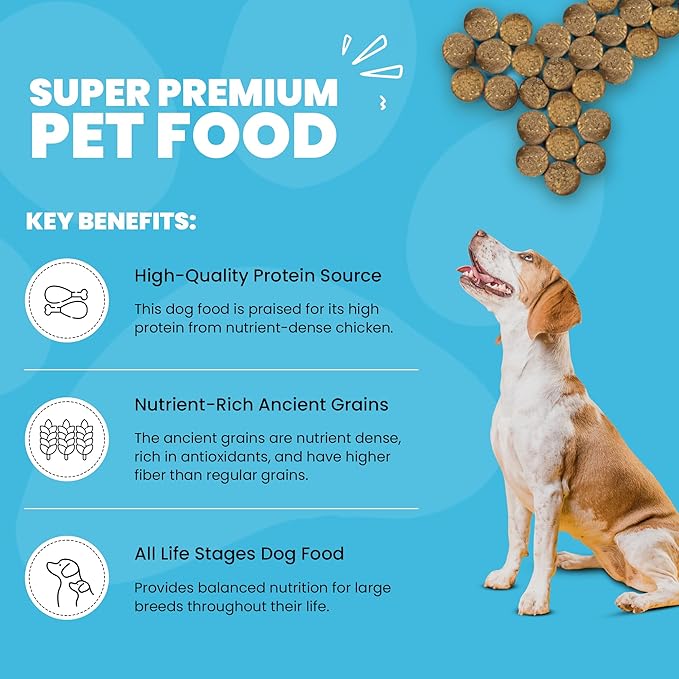 Muenster Ancient Grains Chicken Dry Dog Food, 22lb - Gluten-Free, High Protein, Digestive Support