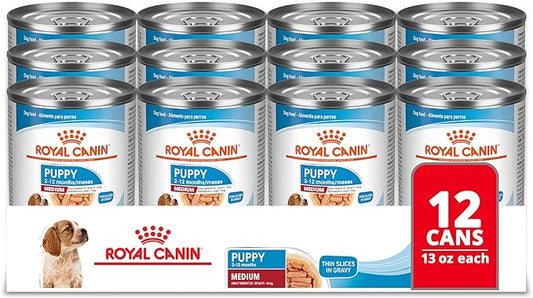Royal Canin Size Health Nutrition Medium Puppy Thin Slices in Gravy Wet Dog Food, 13 oz can (12-count)