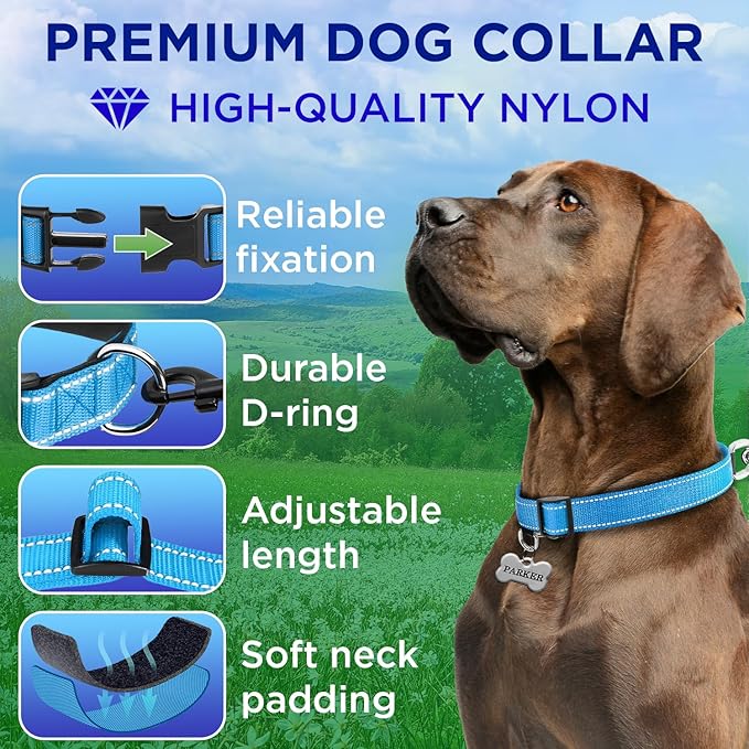 TECEUM Reflective Dog Collar – Sky Blue – XS – Extra Soft Padding – Basic Nylon Pet Collar – Quick Release Buckle – Fits Small, Medium and Large Dogs, Puppies, Cats – ESA & Service Dog Options