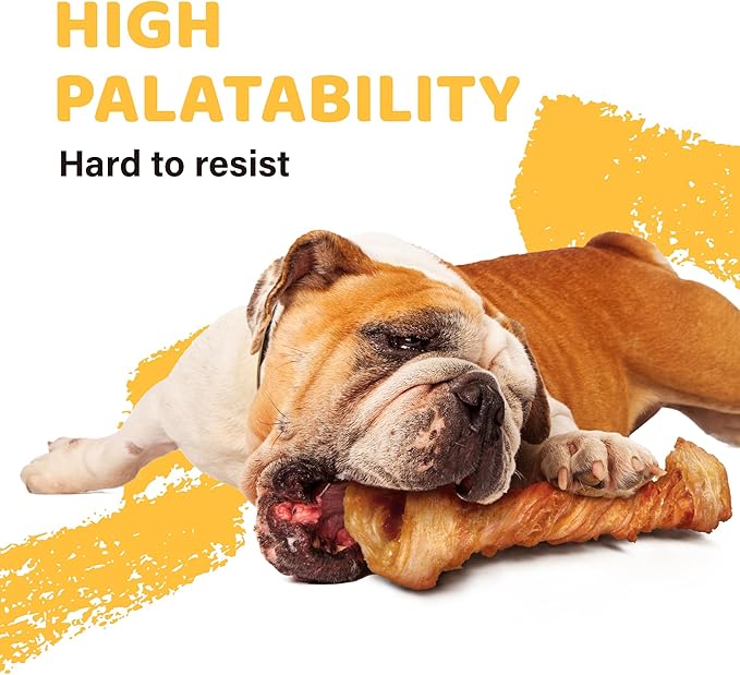 iPaw Turkey Tendon for Dogs, Ingredient Sourced from USA, Hypoallergenic, All Natural Human Grade Puppy Chew, Dog Treats for Signature Series, Rawhide Alternative, 10 Units/Bag Bone (Small)