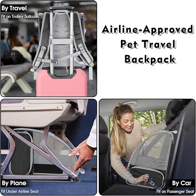 Cat Backpack Carrier, Large Pet Backpack with Kitten Wand Feather Toy for Medium Small Dog Cat Puppy Kitty Bunny up to 15lbs, Ventilated Mesh Dog Travel Carrier for Hiking Walking Outdoor Use (Black)