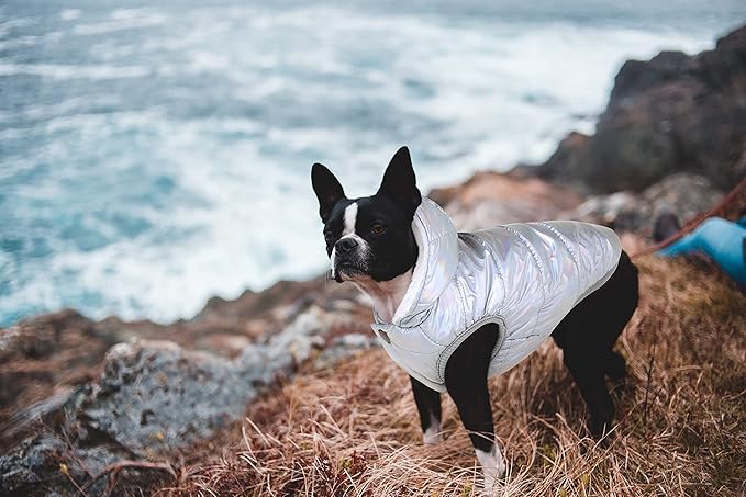 Fleece Hoodie, Windproof Waterproof Coat, Winter Warm Jacket, Cold Weather Pet Apparel Clothes Vest for Small Medium Large Dogs (3XL, Silver)