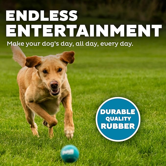 Outward Hound Squeaker Ballz 6-Pack Tennis Ball Dog Toys with Squeaker, Interactive Fetch Play for Pets Under 50 lbs, Training Balls for Indoor & Outdoor Exercise, Medium, 2.5-inch