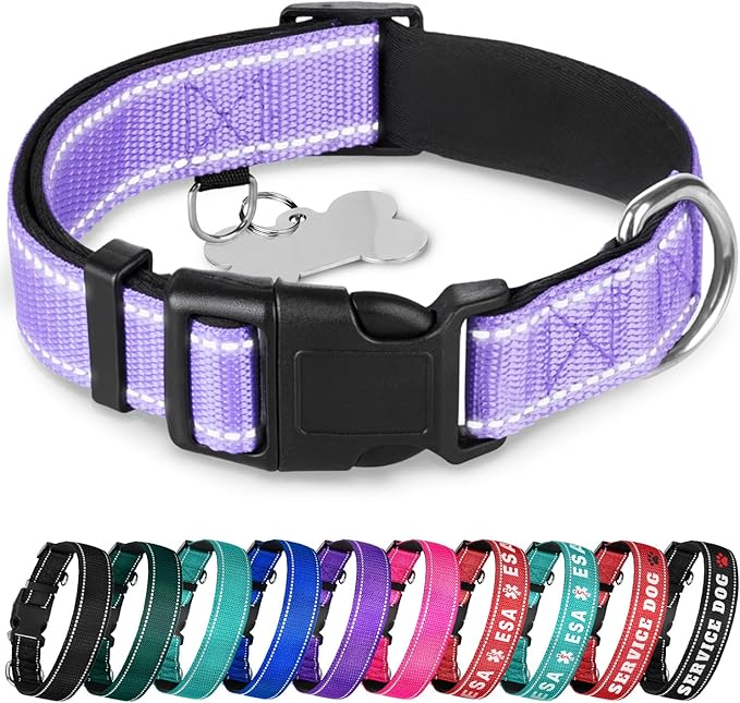 TECEUM Reflective Dog Collar – Lavender – XL – Extra Soft Padding – Basic Nylon Pet Collar – Quick Release Buckle – Fits Small, Medium and Large Dogs, Puppies, Cats – ESA & Service Dog Options