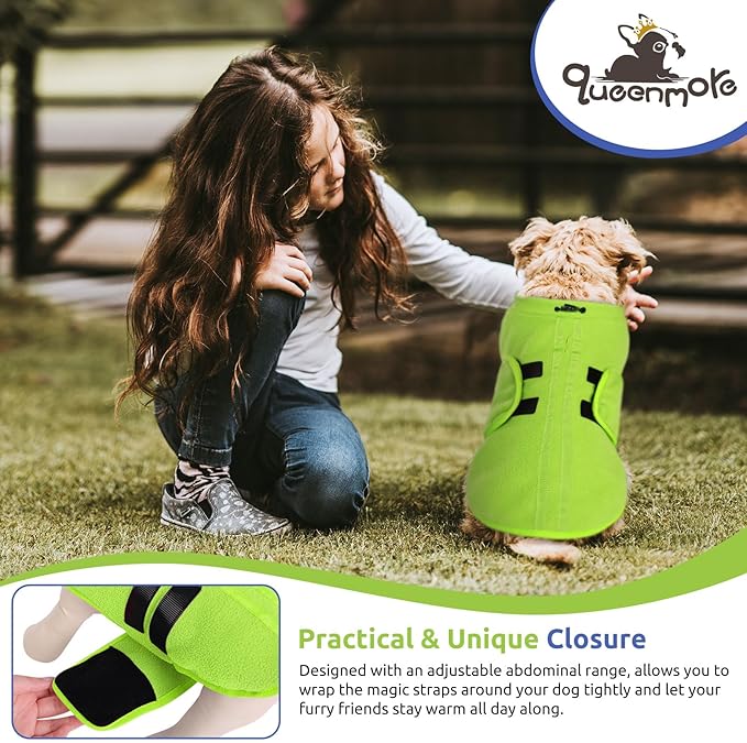 Queenmore Small Dog Sweaters, Soft Fleece Vest Pullover Pet Jacket with Leash Hole, Warm Winter Dog Clothes Cold Weather Doggy Dachshund Sweater for Small Dogs Cats Boy or Girl (Green, XS)