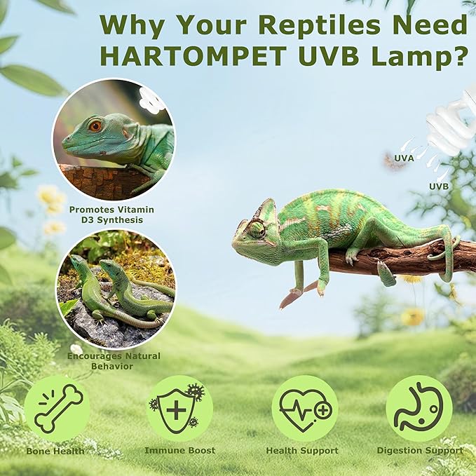 UVB 5.0 Reptile Light13W, Compact Fluorescent Tropical Lamp, Coil UVB Bulb for Rainforest Reptiles – Light for Crowned Chameleons, Green Iguanas, Tree Frogs, Ball Pythons in Terrarium