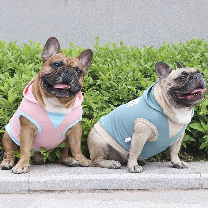 iChoue 100% Breathable Cotton Dog Hoodies Clothes for French Bulldog Sweatshirts Sweaters Frenchie Pug English Medium Dogs - Blue, Large Plus