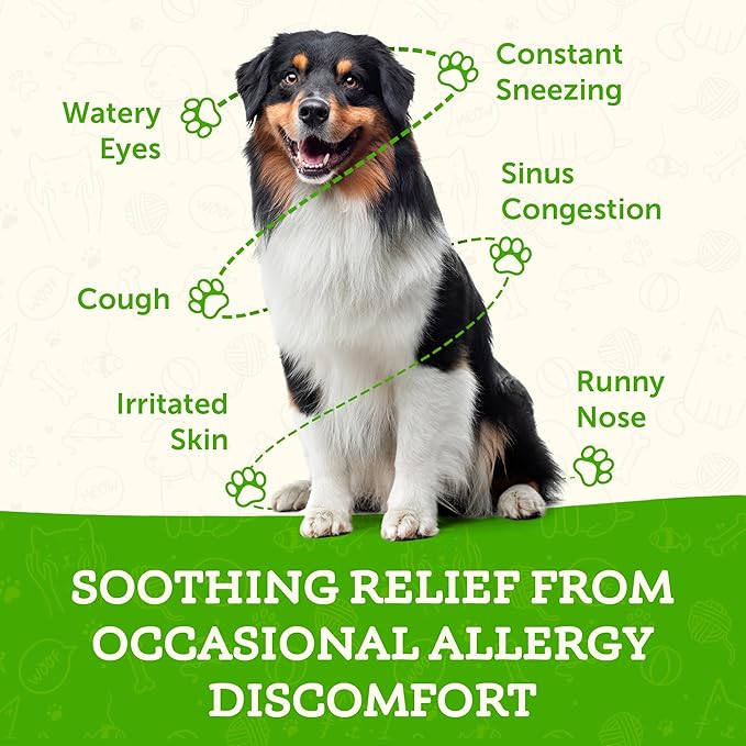 Animal Essentials Seasonal Allergy - Formulated with Nettle Leaf, Eyebright Herb, Licorice and Burdock Root, Herbal Formula for Dogs and Cats, Organic Herbs, Natural Vitamins and Minerals - 2 fl oz