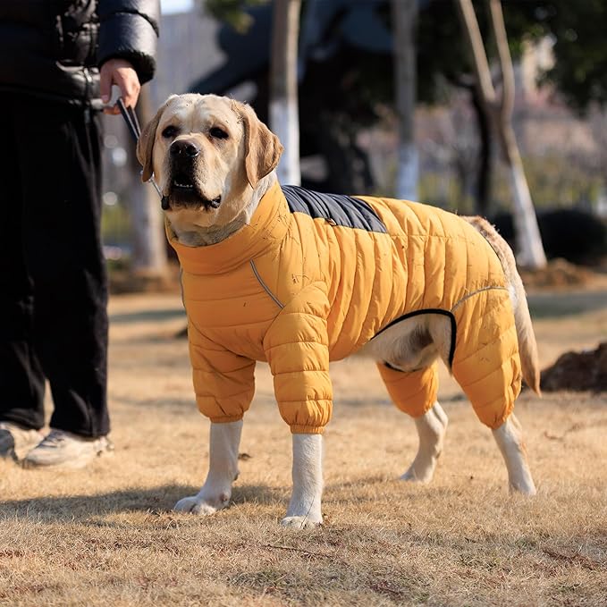 Lovelonglong Warm Jacket - 4 Legs Covered Waterproof Windproof Reflective Vest, Zippered Adjustable Outdoor Snow Jacket for Small Medium Large Dogs, Yellow L