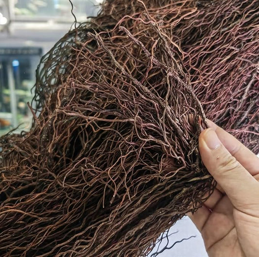 160g Aquarium Driftwood Roots - Bushy Tank Wood for aquascaping - Perfect for Fry, Shrimp or Terrarium,Natural Wood Roots for Aquarium aquascaping