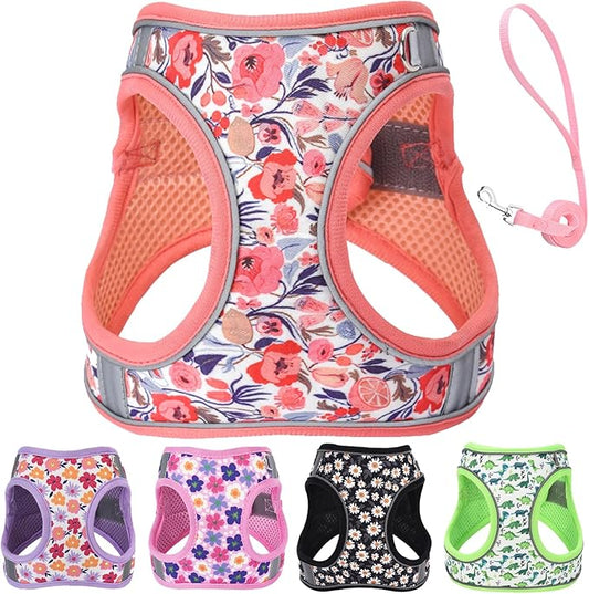 Small Dog Harness and Leash Set, Step in Dog Harness No Pull for Walking Running Training, Puppy Essentials for Dogs Cat Bunny, Adjustable Reflective Dog Vest Harness. (Orange, S)