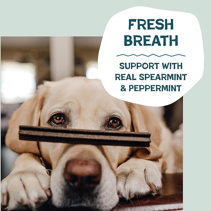 Shameless Pets Dental Chews for Dogs, Mighty Mint Dental Sticks, Healthy Treats for Teeth Cleaning & Fresh Breath - Dog Bones Dental Chews Free from Grain Corn & Soy, 8 Sticks