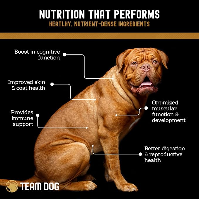 TEAM DOG Elite Blend High Protein Dog Food | Chicken Meal & Sweet Potato | For High Energy, High Performance Dogs | Easy to Digest | Gluten Free, GMO Free, No Corn, Wheat or Soy | (33 lb Dry Dog Food)