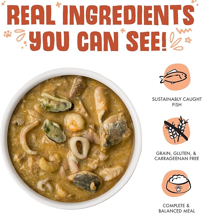 Weruva Classic Cat Food, Marbella Paella with Mackerel, Shrimp, & Mussels in Gravy, 5.5oz Can (Pack of 24)