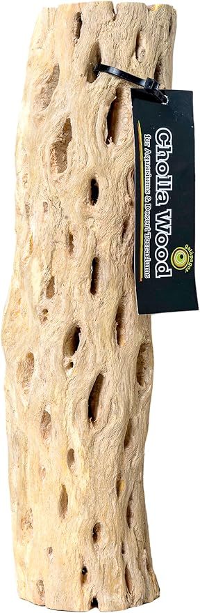 Galápagos (05271) Cholla Wood - Natural Aquarium & Terrarium Decoration for Fish Tanks, Reptile Tanks, and Bird Perches, 12”, Natural