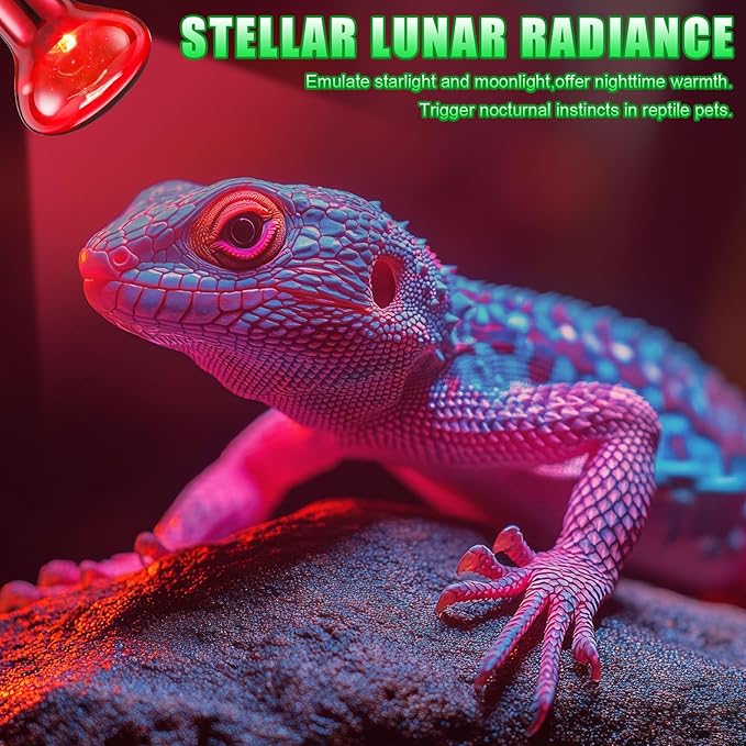 10 Pcs 75w Reptile Heat Lamp Bulb Day and Night Basking Spot Bulb Set UVA Daylight Bulb Amphibian Night Red Infrared Heating Lamp for Turtle Bearded Dragon Lizard Leopard Gecko