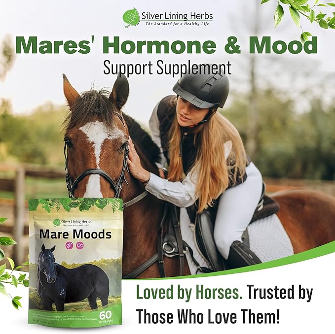 Silver Lining Herbs Mare Moods Horse Calming Supplement - Natural Hormone Balance & Calm for Horses - Herbal Horse Supplements for Mood & Reproductive Support - 1 lb 60-Day