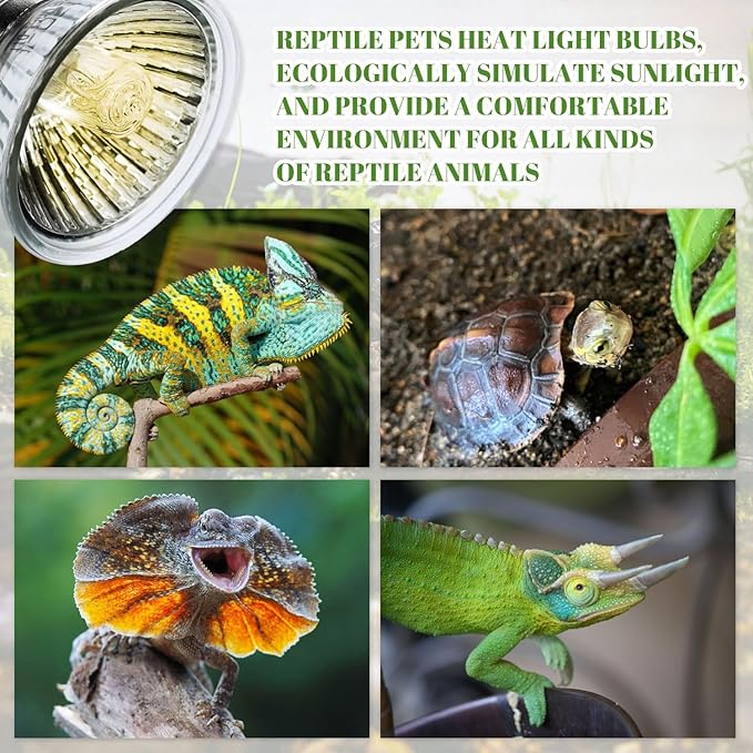4 Pack 50W UVA UVB Reptile Heat Bulbs, Heat Lamp Bulbs for Reptiles and Amphibians, Basking Light Bulb for Turtle, Bearded Dragon, Lizard Heating