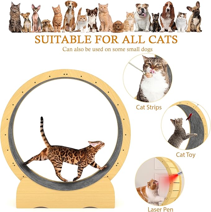 45" Cat Wheel,cat Wheels for Indoor Cats,Noise-Free Pet Fitness Toy，Safety Treadmill with Lock Minimized Gap Design，to Reduce Boredom & Anxiety - Easy Assembly