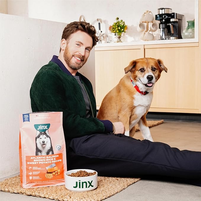 Jinx Premium Grain-Free Dry Dog Food, for All Lifestages - Real Salmon, Sweet Potato & Carrot Kibble with Superfoods for Immune Support & Probiotics for Digestive Support - No Fillers - 30lb