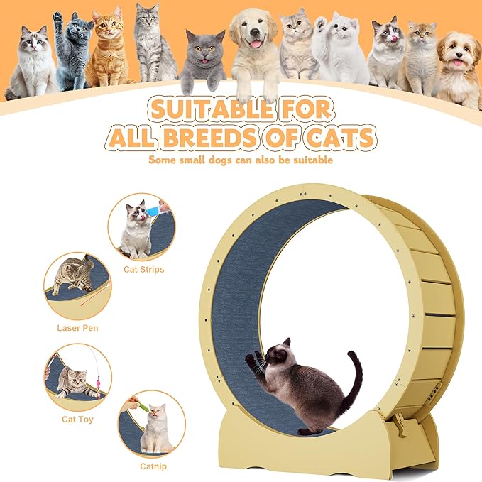 41" Cat Exercise Wheel, Cat Exercise Wheel for Indoor Cats, with Soft Carpeted Running Surface, Safety Lock & Quiet Design - Ideal Animal Running Wheel for Exercise, Walking, Training