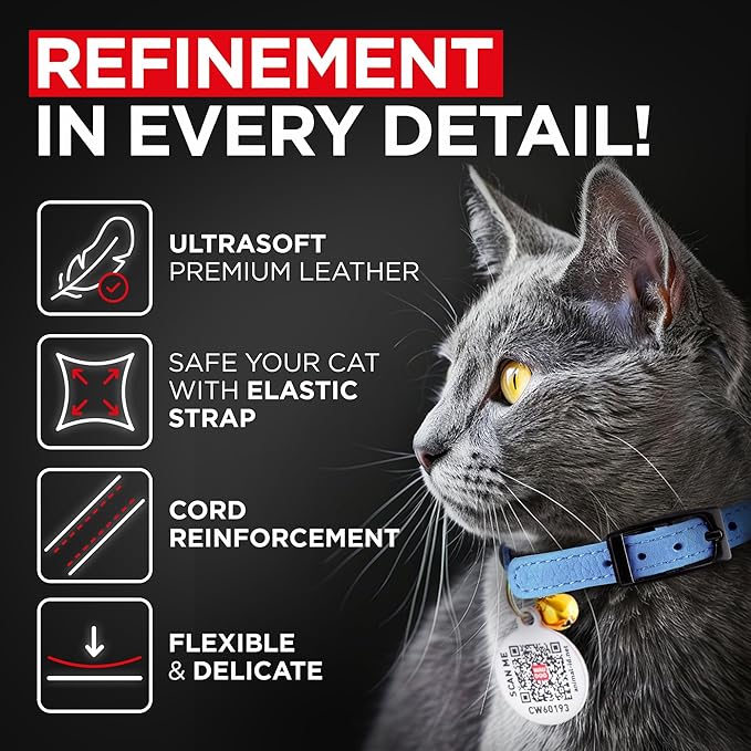 Leather Cat Collar with Bell & Elastic Strap - Pet Collar Leather - Leather Kitten Collar - Cats Small and Big Cat Collar for Boy Cats, Girl Cats with Safety Elastic Strap (Blue, 6" - 8")