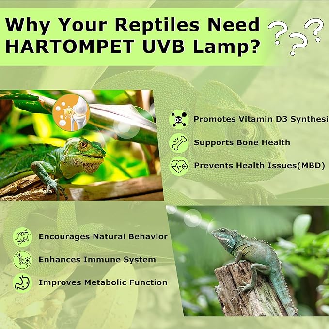 UVB 5.0 Reptile Light 13W, Tropical Terrarium Compact Fluorescent Lamp, Coil UVA-UVB Bulbs for Chameleons, Lizard, Turtle,Ideal Lighting for Small Reptile Tanks, Amphibians Terrarium Habitat