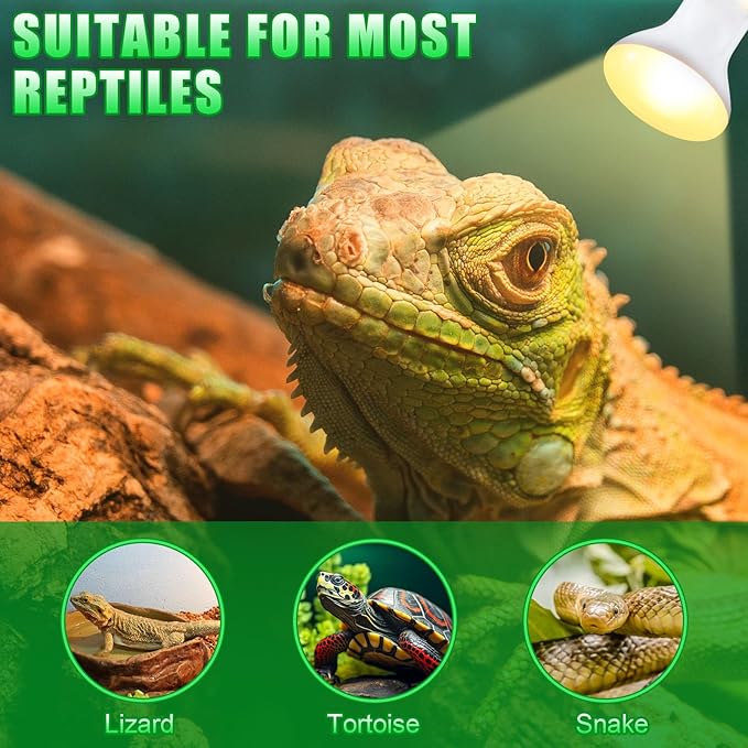 10 Pcs 75w Reptile Heat Lamp Bulb Day and Night Basking Spot Bulb Set UVA Daylight Bulb Amphibian Night Red Infrared Heating Lamp for Turtle Bearded Dragon Lizard Leopard Gecko