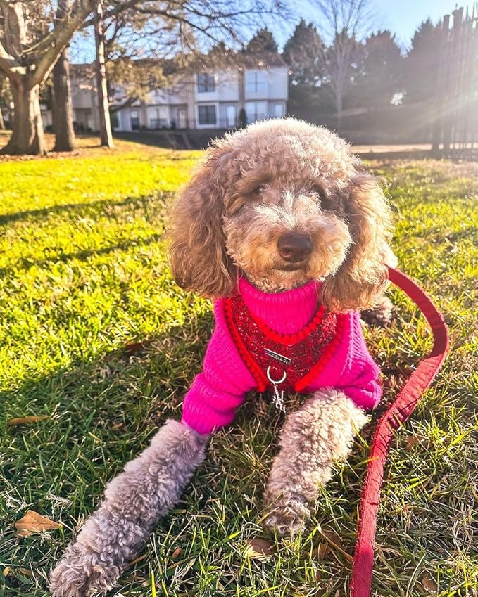 Fitwarm Valentines Dog Turtleneck Sweater, Dog Winter Clothes for Small Dogs Girl, Knitted Pet Coat, Cat Outfit, Hot Pink, Medium