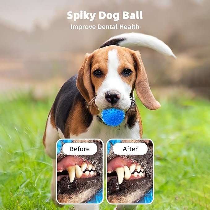 8 Pack 2.5” Squeaky Dog Balls for Small and Medium Dogs, Spiky Balls for Teething Puppies