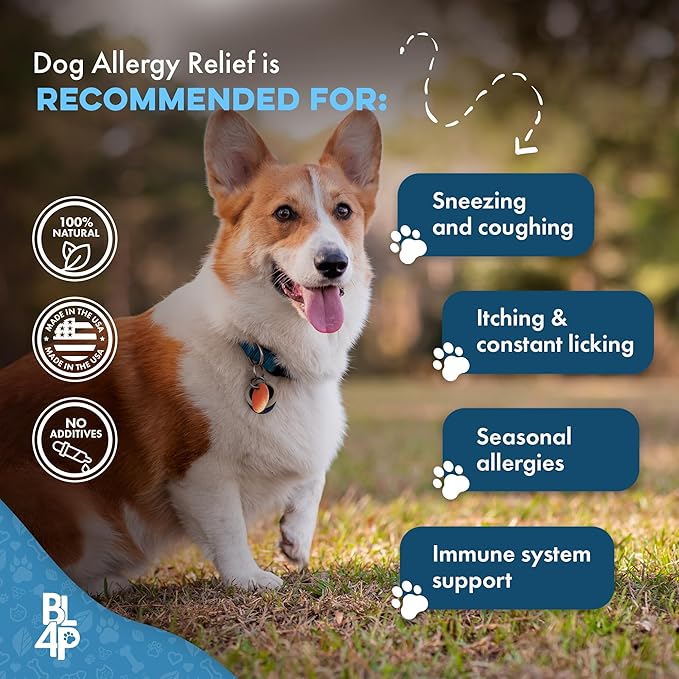 Dog Allergy Relief & Immune Support, Natural Holistic Itch Relief for Dogs, Immune System Guard and Allergy Support, Including Seasonal Allergies, Sneezing, Runny Nose and Itching, 400 Small Pills