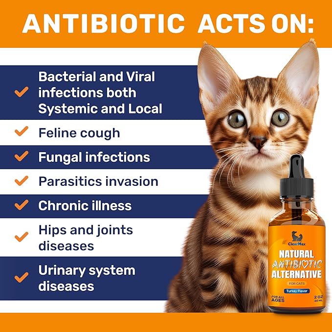 Antibiotics for Cats in Drops – Сat Respiratory Infection Treatment: Cold, Cough, and Allergies – Cat UTI Treatment with Turkey Flavor – May Support Hips & Joints – Proper for All Ages & Breeds – 2 Oz