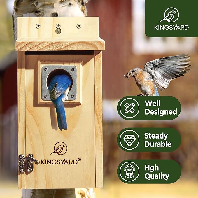 Kingsyard Blue Bird House for Outdoors - Classic Wooden Bluebird House Durable Wall-Mounted Birdhouse with Predator Guard for Bluebirds Titmice Chickadees Nesting Birds, Wood