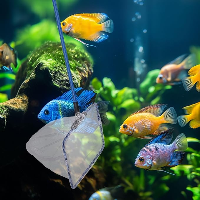 Mogoko Fish Net Aquarium, Small Fish Tank Net with Long Plastic Handle, Square net with Fine Mesh for Tank Cleaning