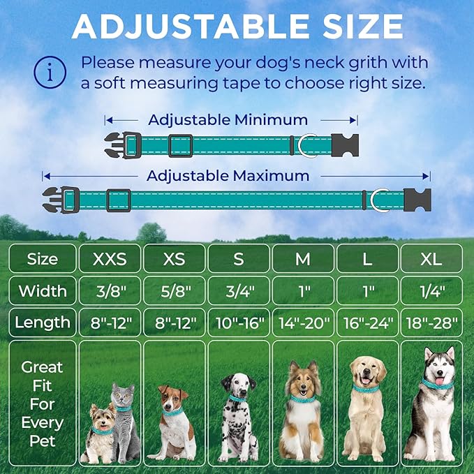TECEUM Reflective Dog Collar – Teal – S – Extra Soft Padding – Basic Nylon Pet Collar – Quick Release Buckle – Fits Small, Medium and Large Dogs, Puppies, Cats – ESA & Service Dog Options