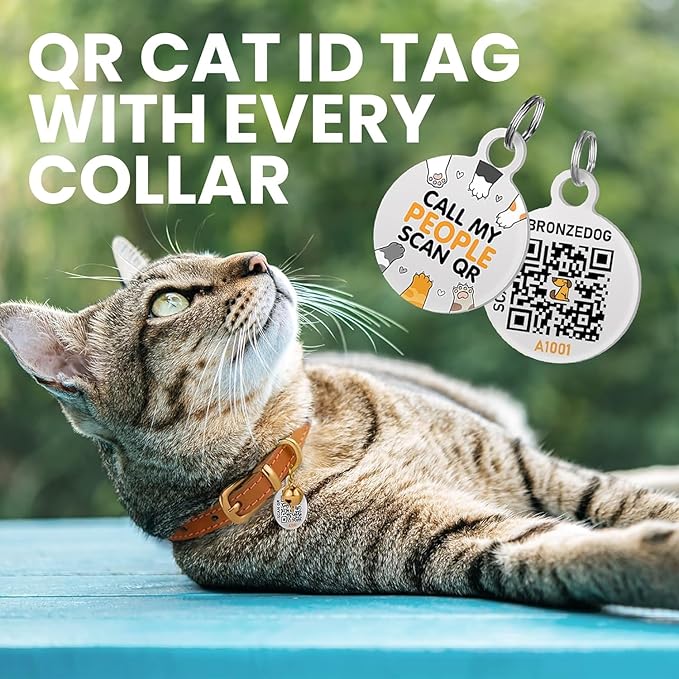 BRONZEDOG Leather Cat Collar with Removable Bells Non Breakaway Kitten QR Tag for Girl Boy (9" - 12" Cats/Mini Dogs, Blue & Silver)
