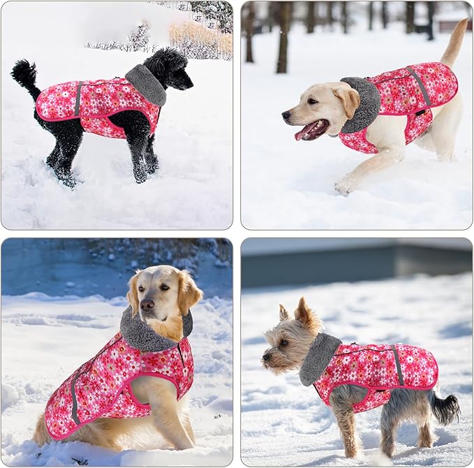 Doglay Dog Coat, Waterproof Dog Jacket Pet Winter Coat for Cold Weather with Thicken Furry Collar, Reflective Puppy Winter Jacket Warm Fleece Lining for Small Medium Large Pets
