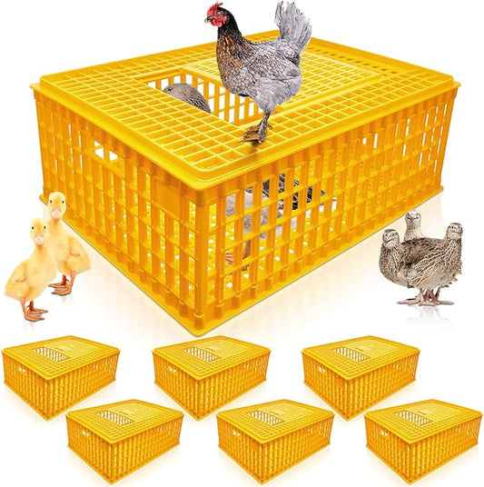 Sintuff 6 Pcs Poultry Carrier Crate Plastic Chicken Transport Cage Bird Carriers Chickens Carrier Travel Crate Basket Box for Poultry Chicken Bird Duck Goose, 29.5 x 21.7 x 11.6 Inch