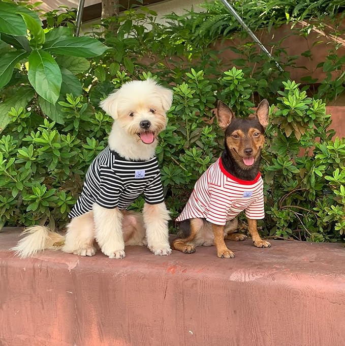 YQYS Pet T-Shirts Thick Striped Cotton Tee Shirt for Small Dogs and Cats Puppy Clothes Apparel Clothing for Teacup Chihuahua Yorkie Poodle Red White XXSmall