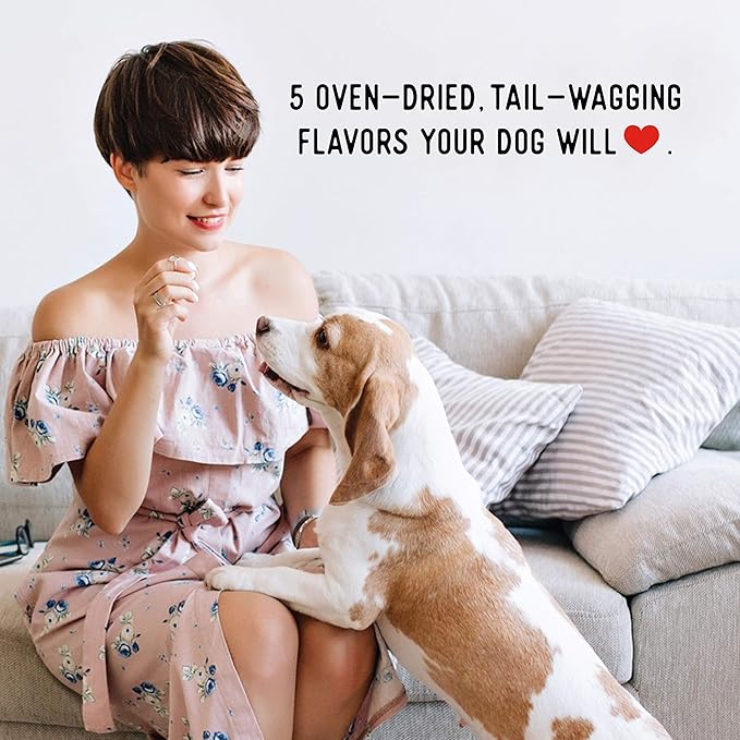 Farmland Traditions Dogs Love Chicken Jerky Dog Treats, Premium Two-Ingredient Dog Jerky with USA-Raised, Human-Grade Chicken & No Antibiotics Ever, 1-Pound Bag
