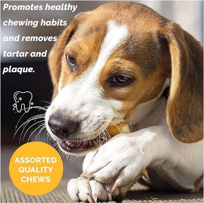 Assorted Natural Dog Chews - Lamb, Beef, Pork & Chicken Jerky Mixed Dog Treats, Digestible Gluten Free Chews, Long Lasting, Medium & Large Breeds Variety Pack | 2 lb
