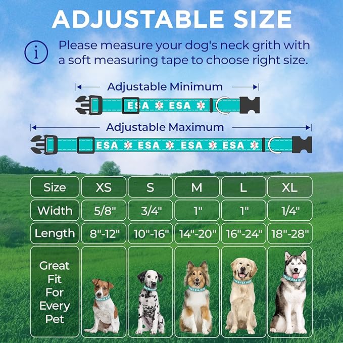 TECEUM Reflective Pet Collar – Teal - ESA – M – Extra Soft Padding – Basic Nylon Dog Collar – Quick Release Buckle – Fits Small, Medium and Large Dogs, Puppies, Cats – ESA & Service Dog Options