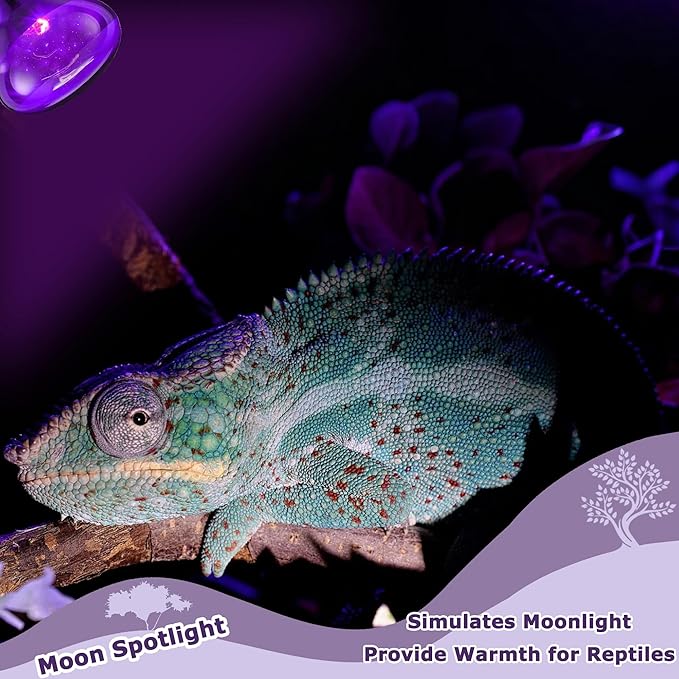 60W Reptile Night Light Bulb – Simulated Moonlight UVA Heat Lamp, Purple Basking Light for Bearded Dragons, Lizards, Snakes, Chameleons, Amphibians - 2-Pack (2.5" Diameter)