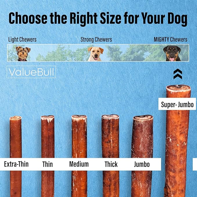 ValueBull Bully Sticks for Large Dogs, Super Jumbo 6 Inch, 25 Count - All Natural, Grass Fed, Single Ingredient, Long Lasting Dog Treats for Aggressive Chewers