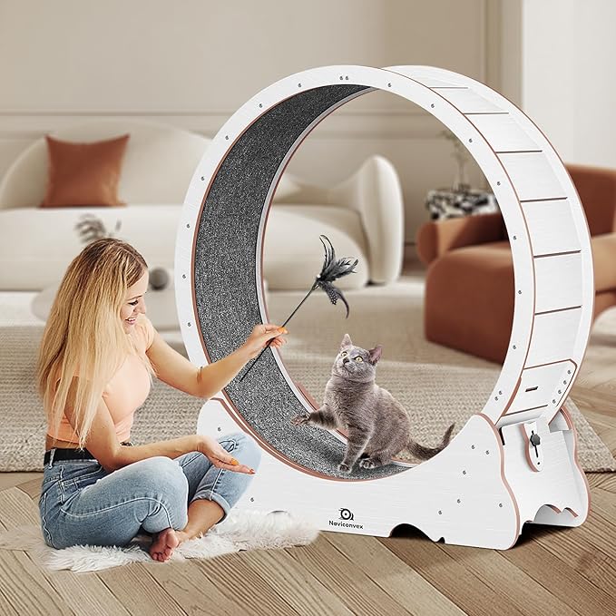Cat Wheel, 48" XL Large Cats Exercise Running Wheel, Cat Treadmill for Indoor Cats